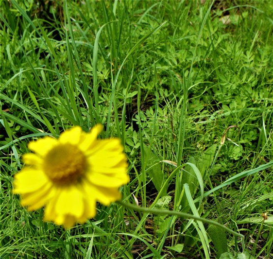 20170819_203001000_iOS (2)